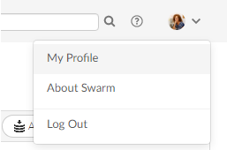 User dropdown menu User dropdown menu image